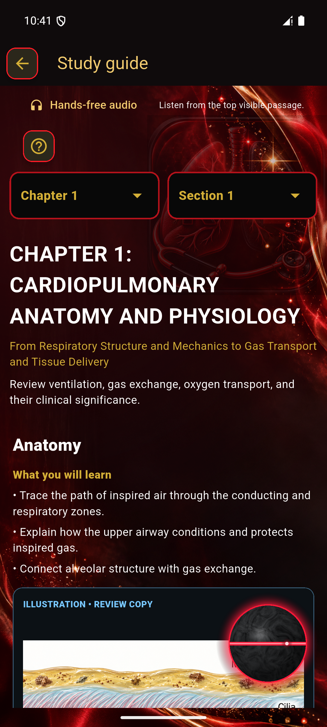 Current Respiratory Edge Study Guide showing chapter navigation, learning goals, and illustrated respiratory content